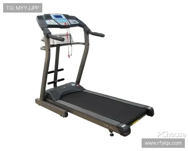 多功能健身器材推荐：一机多用的健身利器